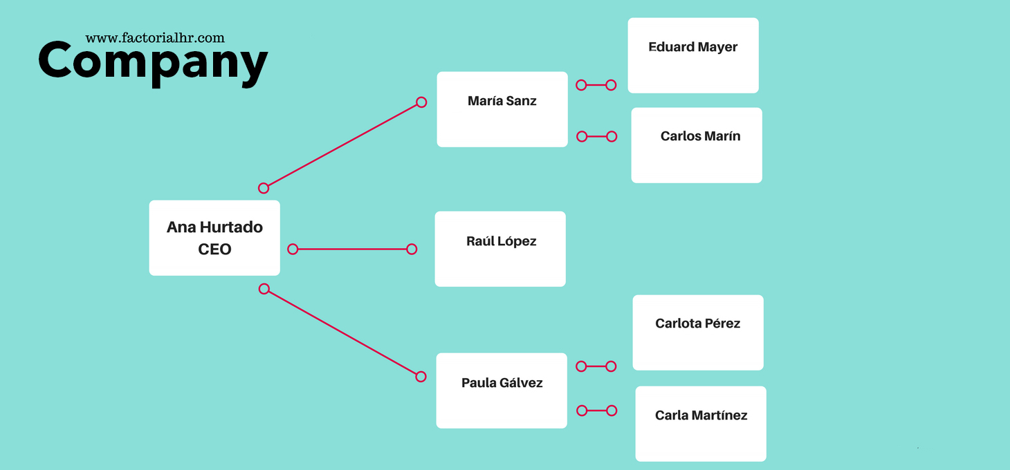 Examples Of Organizational Charts Templates