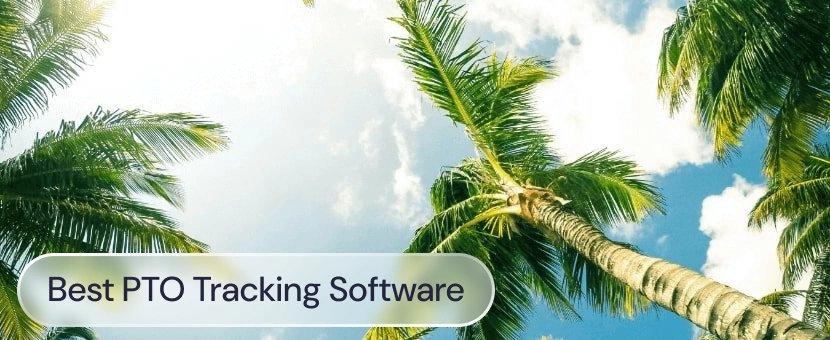 Palm trees in the sun, with the label: Best PTO tracking software