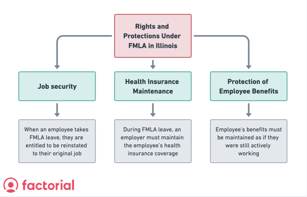 rights and protections under FMLA in Illinois