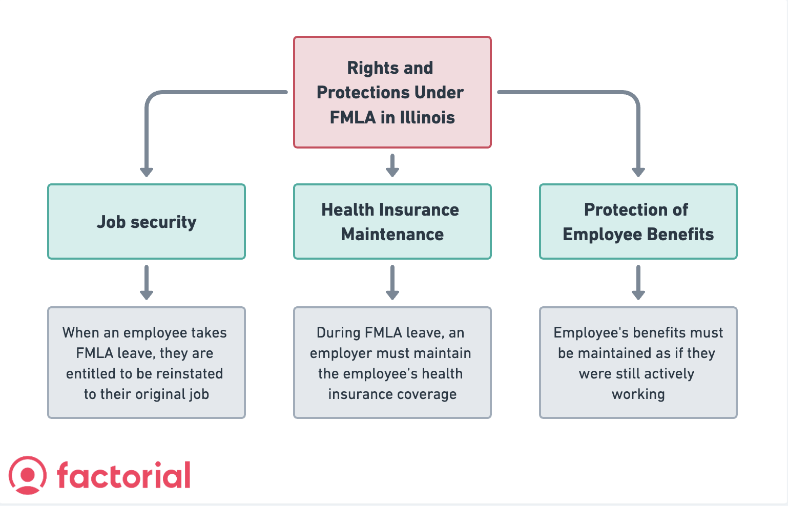 Family and Medical Leave Act Illinois (FMLA) Full Guide