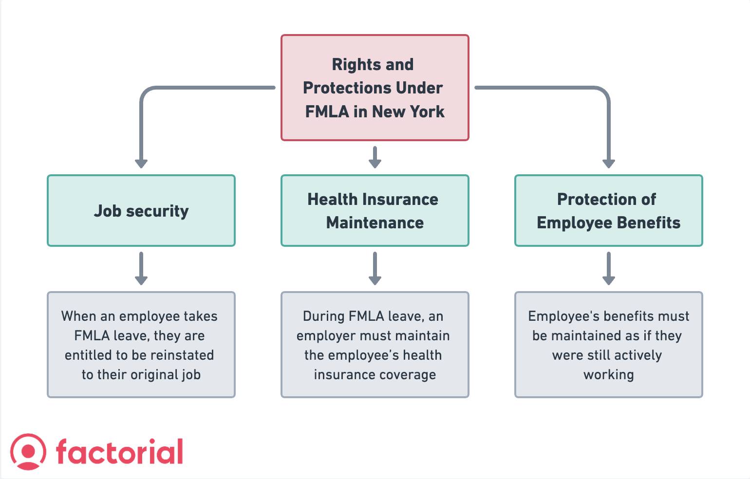 Family and Medical Leave Act (FMLA) NY How Does It Work?