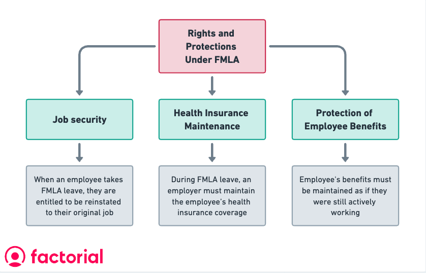 rights protections fmla